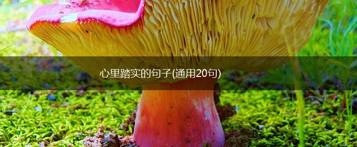 心里踏实的句子(通用20句),第1张