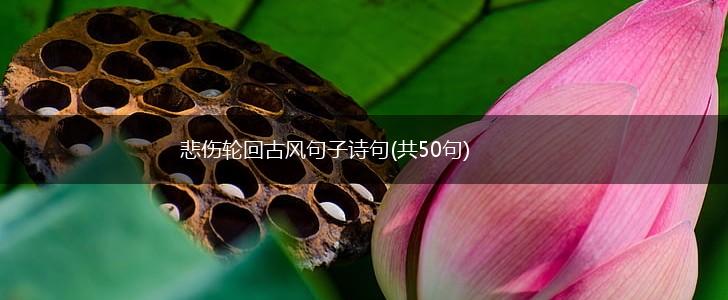 悲伤轮回古风句子诗句(共50句),第1张