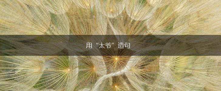 用“太爷”造句,第1张 用“太爷”造句,第1张