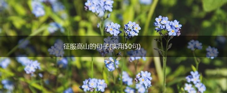 征服高山的句子(实用50句),第1张