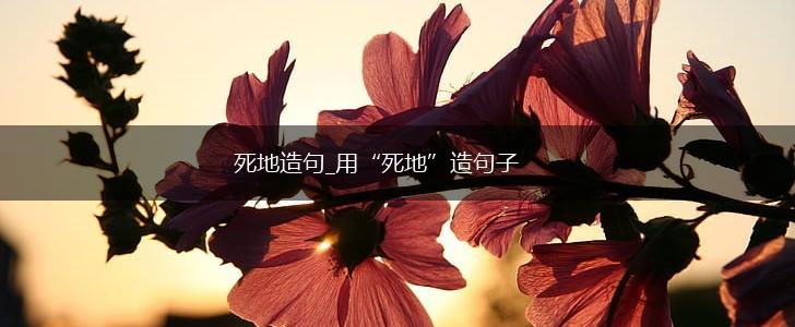 死地造句_用“死地”造句子,第1张