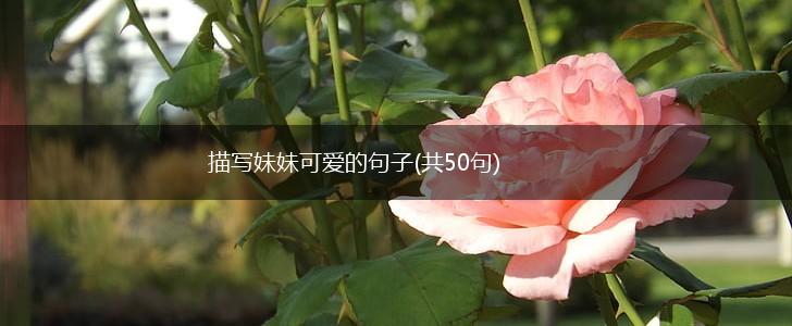 描写妹妹可爱的句子(共50句),第1张