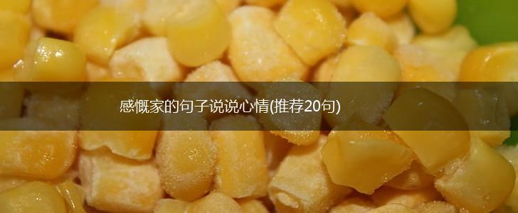 感慨家的句子说说心情(推荐20句),第1张