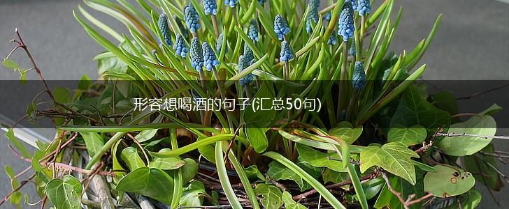 形容想喝酒的句子(汇总50句),第1张