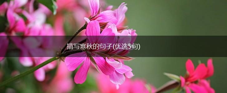 描写寒秋的句子(优选5句),第1张