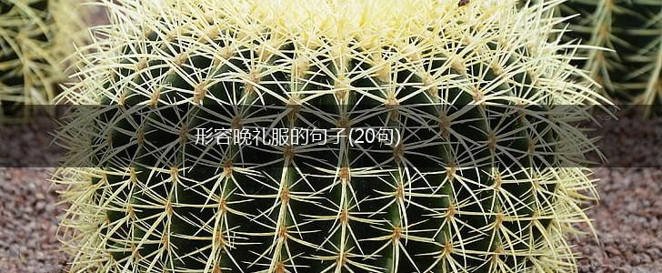 形容晚礼服的句子(20句),第1张