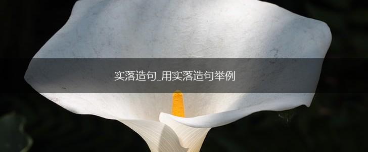 实落造句_用实落造句举例,第1张 实落造句_用实落造句举例,第1张