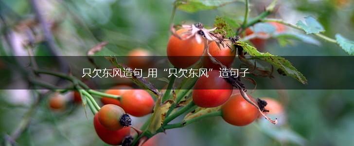 只欠东风造句_用“只欠东风”造句子,第1张 只欠东风造句_用“只欠东风”造句子,第1张