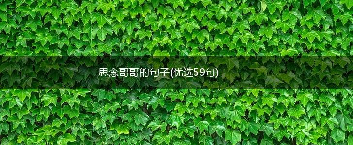 思念哥哥的句子(优选59句),第1张