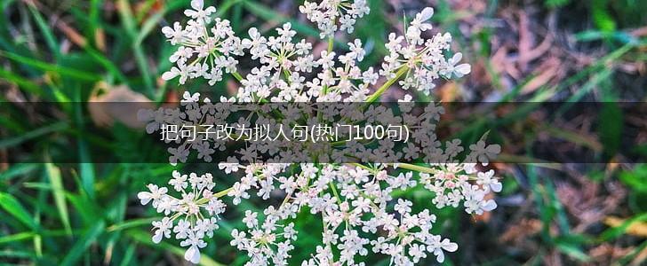 把句子改为拟人句(热门100句),第1张