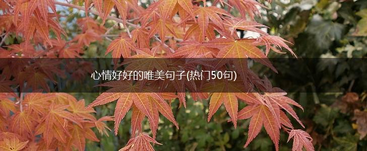 心情好好的唯美句子(热门50句),第1张