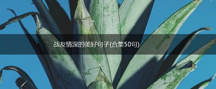战友情深的美好句子(合集50句),第1张