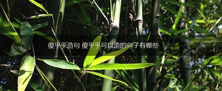 傻乎乎造句 傻乎乎可以造的句子有哪些,第1张 傻乎乎造句 傻乎乎可以造的句子有哪些,第1张