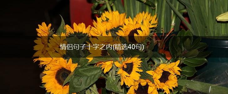 情侣句子十字之内(精选40句),第1张
