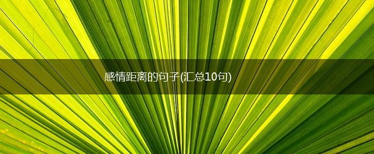 感情距离的句子(汇总10句),第1张
