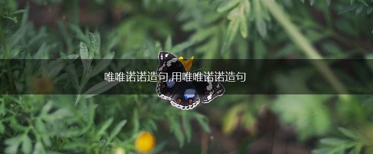 唯唯诺诺造句,用唯唯诺诺造句,第1张 唯唯诺诺造句,用唯唯诺诺造句,第1张