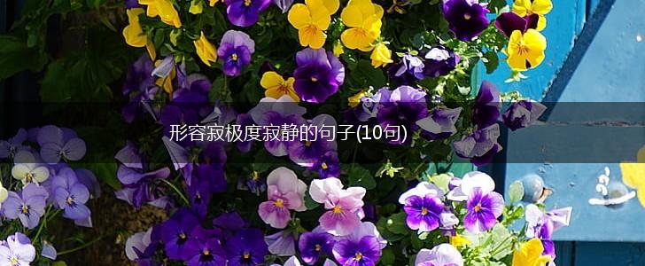 形容寂极度寂静的句子(10句),第1张