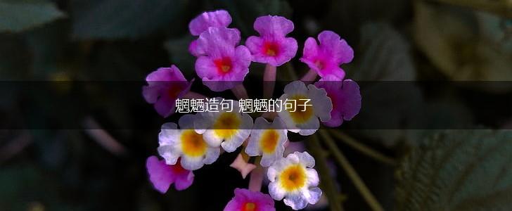 魍魉造句 魍魉的句子,第1张 魍魉造句 魍魉的句子,第1张