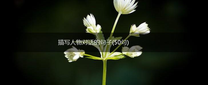 描写人物对话的句子(50句),第1张