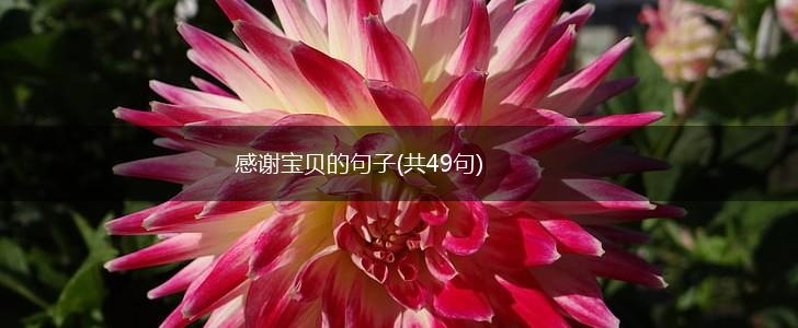 感谢宝贝的句子(共49句),第1张
