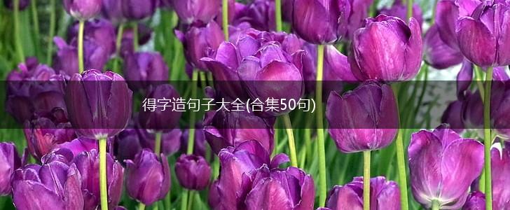 得字造句子大全(合集50句),第1张