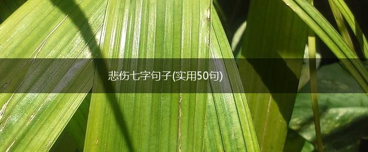 悲伤七字句子(实用50句),第1张