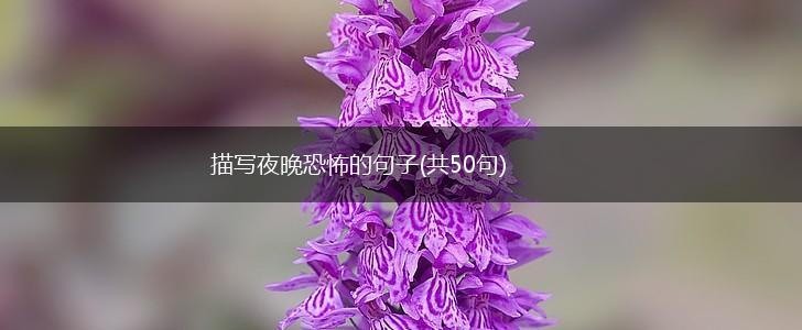 描写夜晚恐怖的句子(共50句),第1张