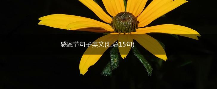 感恩节句子英文(汇总15句),第1张