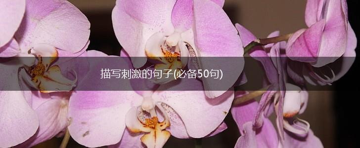 描写刺激的句子(必备50句),第1张