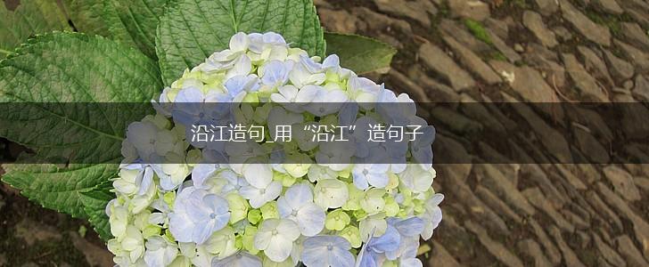 沿江造句_用“沿江”造句子,第1张 沿江造句_用“沿江”造句子,第1张