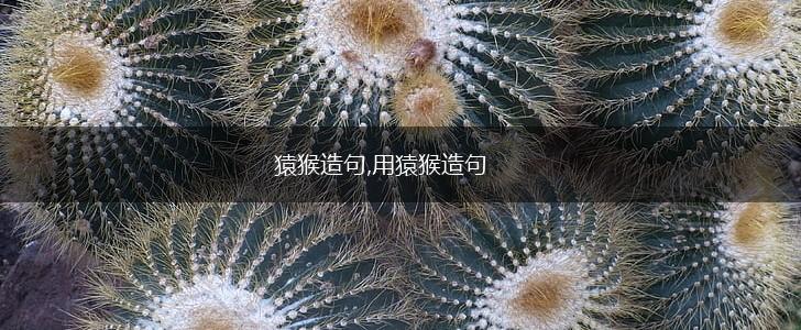 猿猴造句,用猿猴造句,第1张 猿猴造句,用猿猴造句,第1张