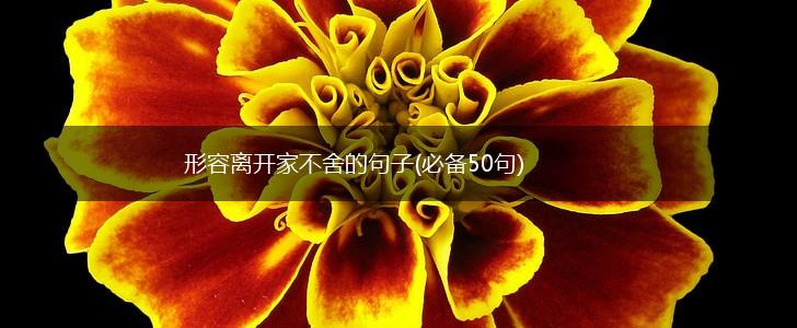 形容离开家不舍的句子(必备50句),第1张