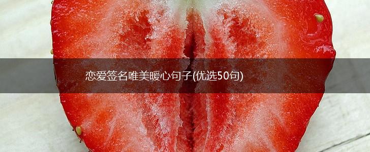 恋爱签名唯美暖心句子(优选50句),第1张