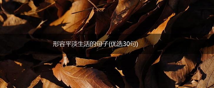 形容平淡生活的句子(优选30句),第1张