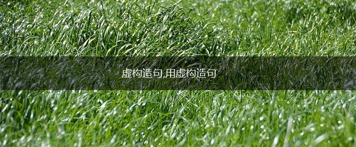 虚构造句,用虚构造句,第1张 虚构造句,用虚构造句,第1张