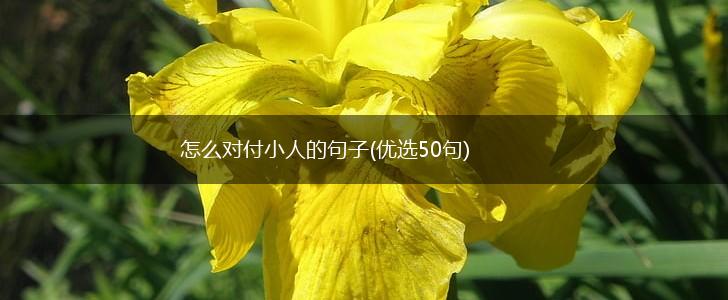 怎么对付小人的句子(优选50句),第1张