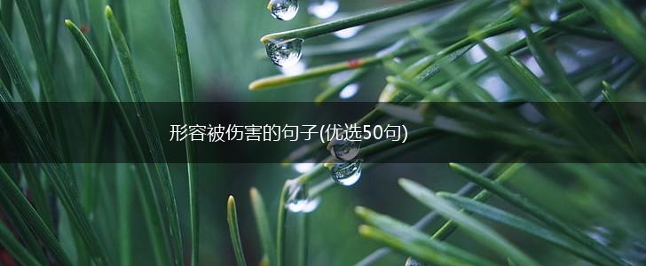 形容被伤害的句子(优选50句),第1张
