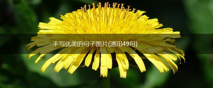 手写优美的句子图片(通用49句),第1张