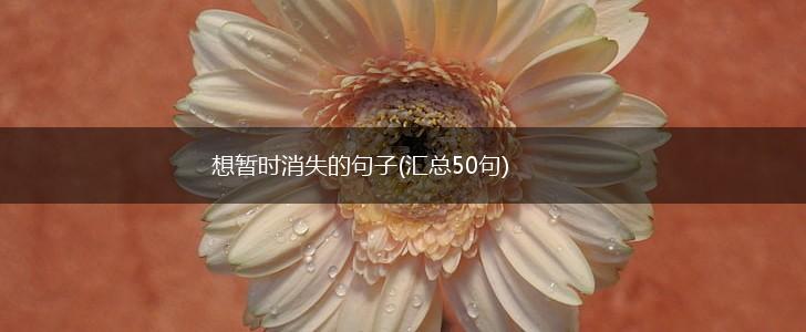 想暂时消失的句子(汇总50句),第1张