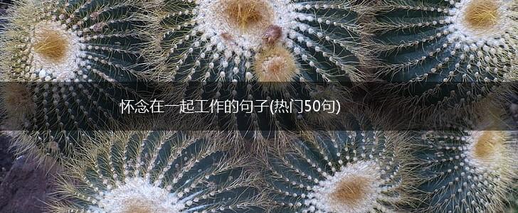 怀念在一起工作的句子(热门50句),第1张