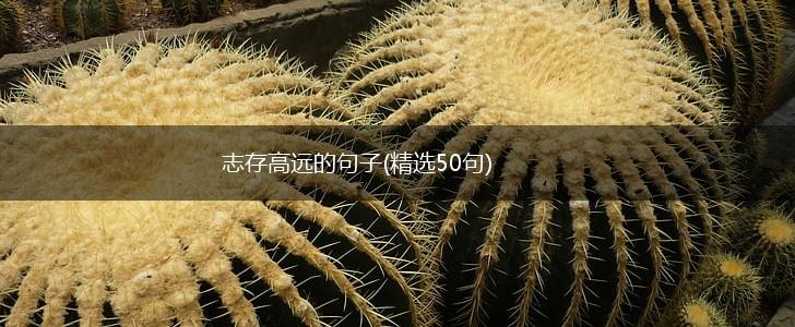 志存高远的句子(精选50句),第1张