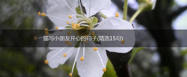 描写小朋友开心的句子(精选15句),第1张
