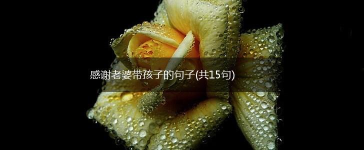 感谢老婆带孩子的句子(共15句),第1张