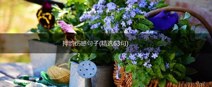 押韵伤感句子(精选63句),第1张