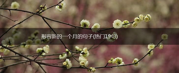 形容新的一个月的句子(热门19句),第1张