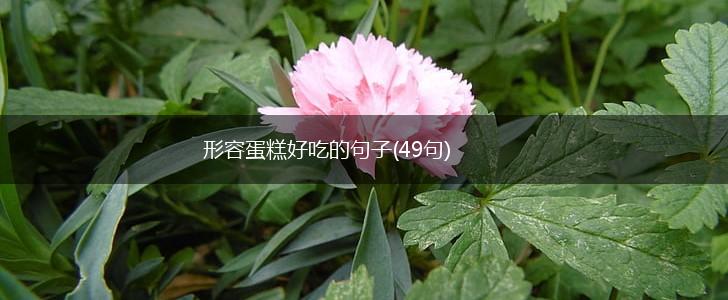 形容蛋糕好吃的句子(49句),第1张