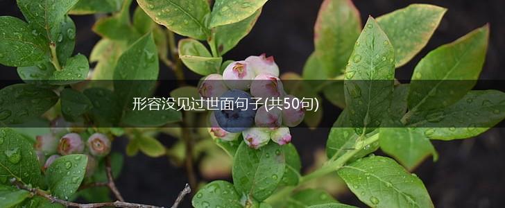 形容没见过世面句子(共50句),第1张