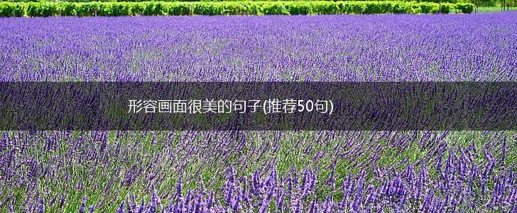 形容画面很美的句子(推荐50句),第1张