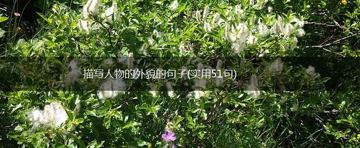 描写人物的外貌的句子(实用51句),第1张