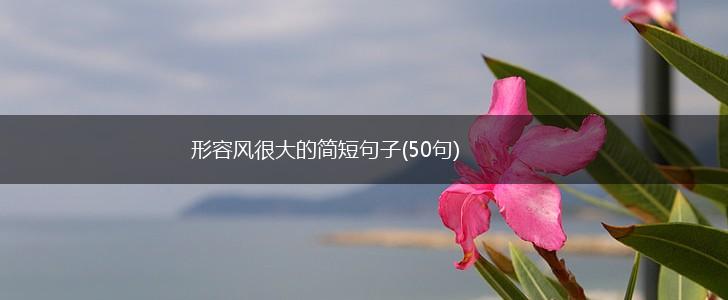 形容风很大的简短句子(50句),第1张
